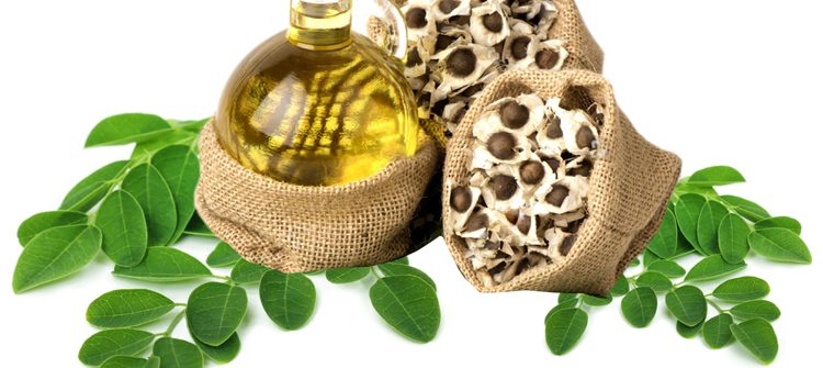 Moringa Oil Company - MORIFA Indonesian Moringa