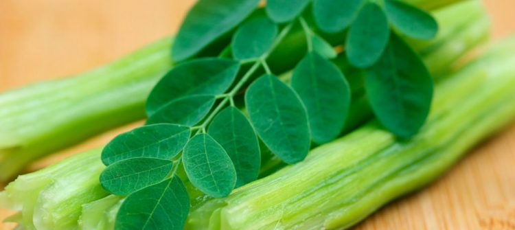 Moringa Oil Company - MORIFA Indonesian Moringa