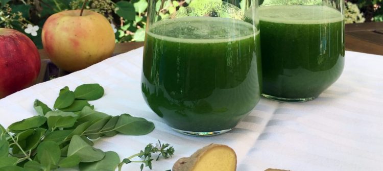 Moringa Oil Company - MORIFA Indonesian Moringa