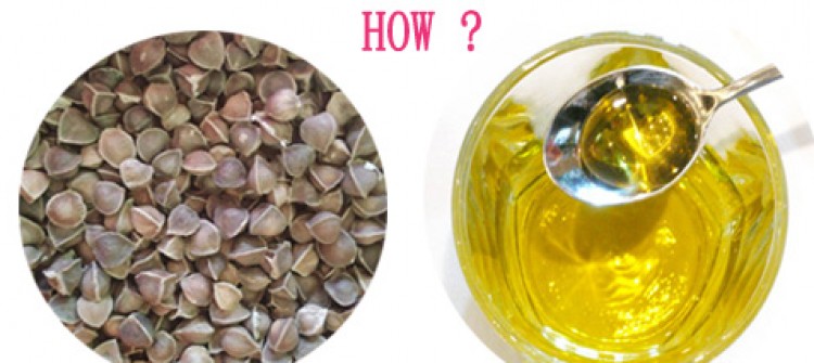 Moringa Oil Company - MORIFA Indonesian Moringa