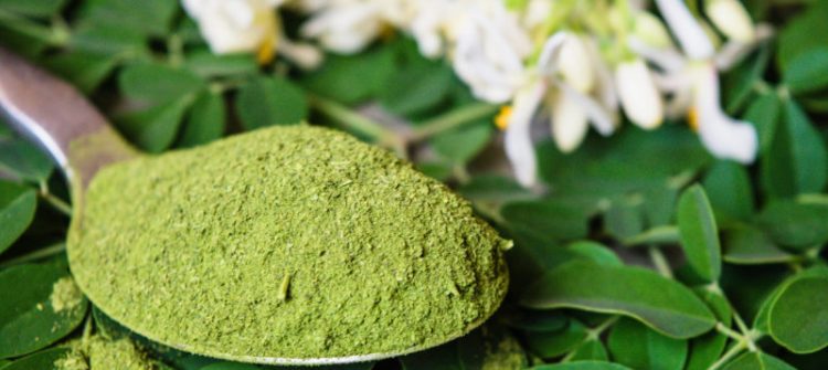 Moringa Oil Company - MORIFA Indonesian Moringa