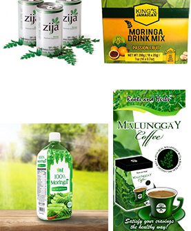 Moringa Oil Company - MORIFA Indonesian Moringa
