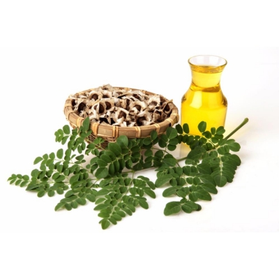Moringa Oil Company - MORIFA Indonesian Moringa