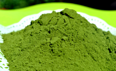 Moringa Oil Company - MORIFA Indonesian Moringa