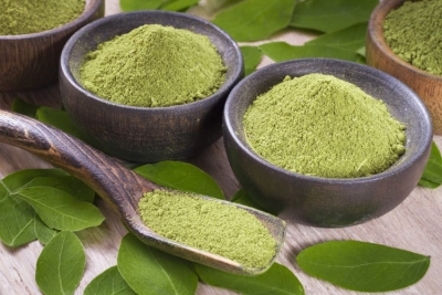 Moringa Oil Company - MORIFA Indonesian Moringa