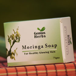 Moringa Oil Company - MORIFA Indonesian Moringa