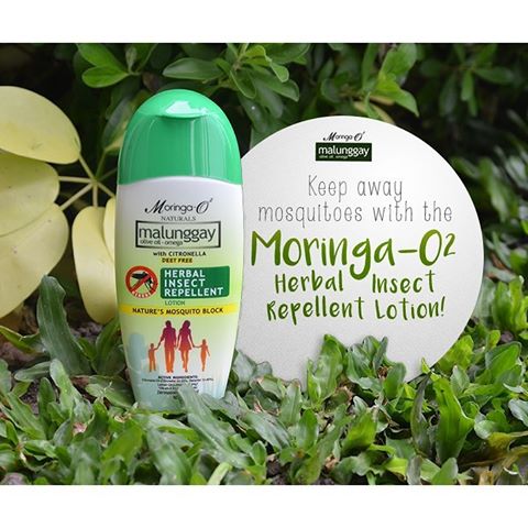 Moringa Oil Company - MORIFA Indonesian Moringa