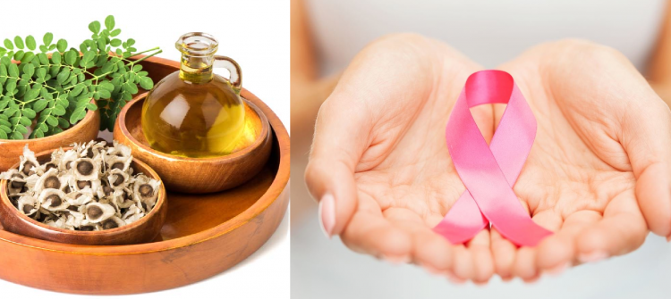 Moringa Oil Company - MORIFA Indonesian Moringa