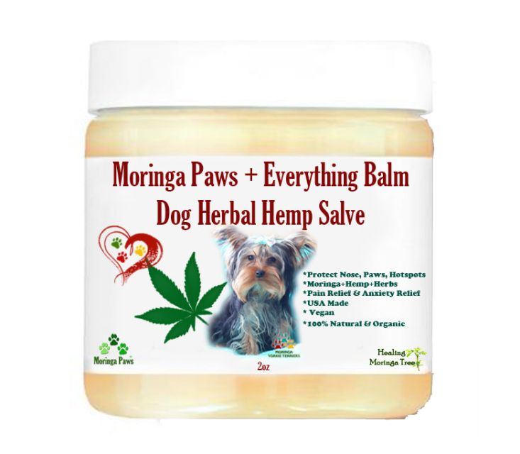 Moringa Oil Company - MORIFA Indonesian Moringa