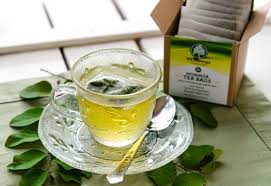 Moringa Oil Company - MORIFA Indonesian Moringa