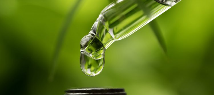 Moringa Oil Company - MORIFA Indonesian Moringa