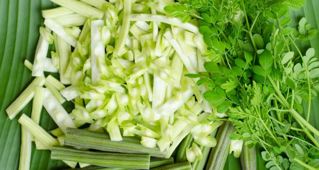 Moringa Oil Company - MORIFA Indonesian Moringa