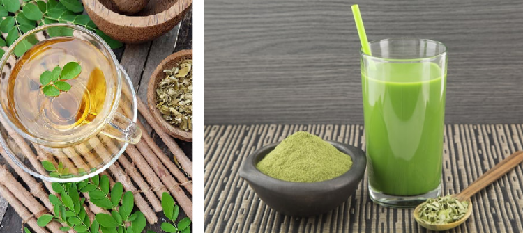 Moringa Oil Company - MORIFA Indonesian Moringa