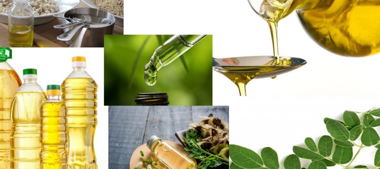 Moringa Oil Company - MORIFA Indonesian Moringa