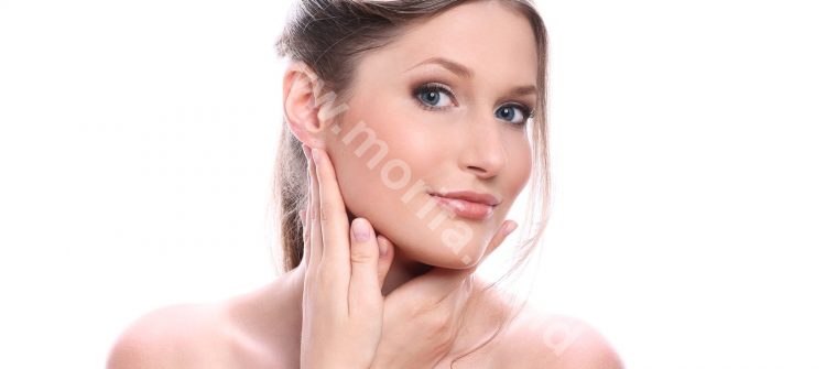 Moringa Oil Company - MORIFA Indonesian Moringa