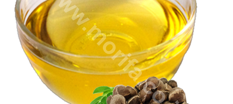 Moringa Oil Company - MORIFA Indonesian Moringa